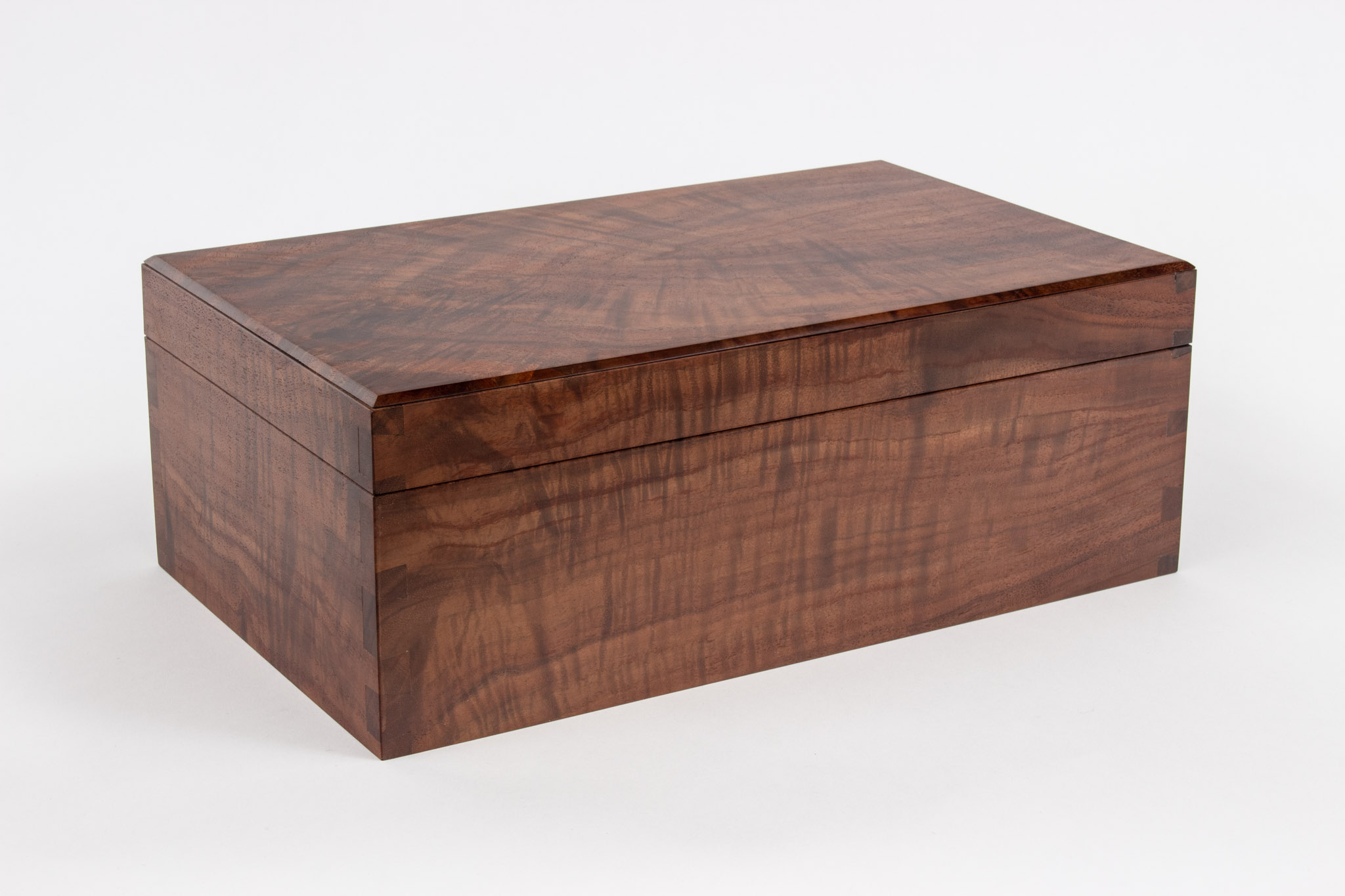 Burandt Walnut Humidor